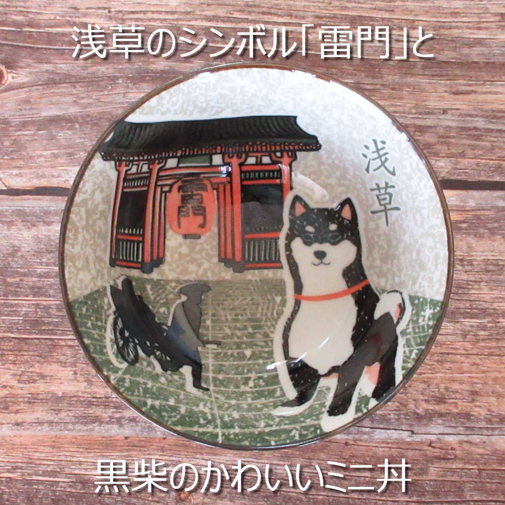 丼 14cm 柴犬 浅草 真上