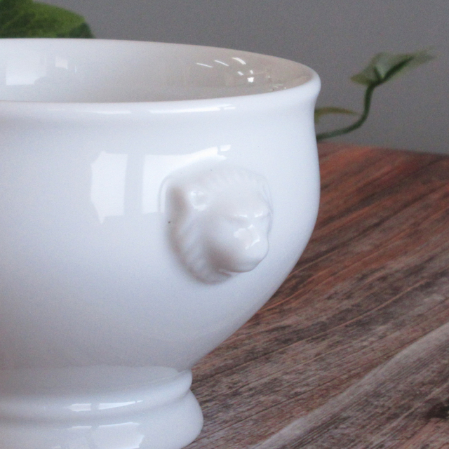 ボウル おしゃれ 10cm 蓋付き トリュフボウル ライオン 陶器 四季彩